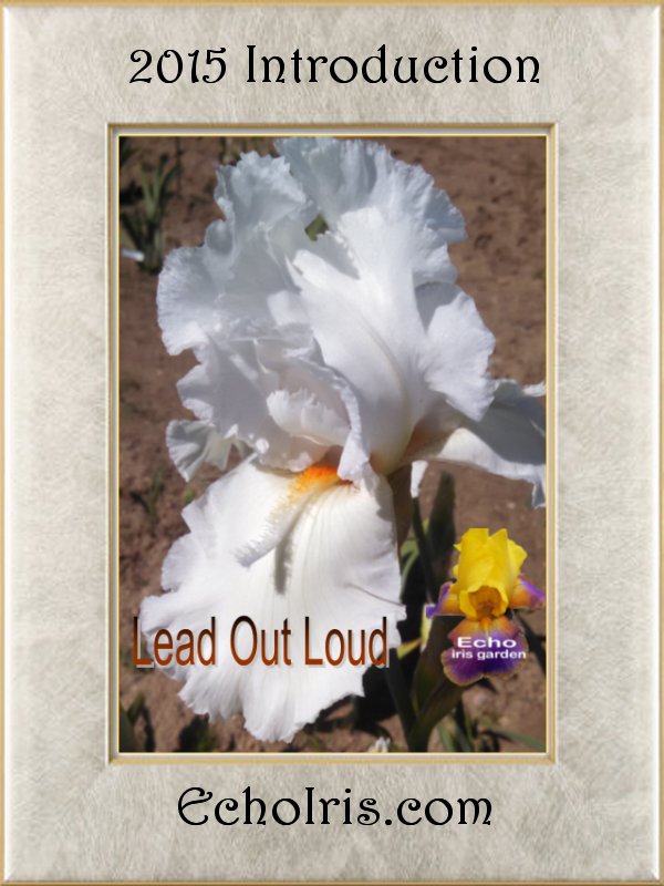 Lead Out Loud